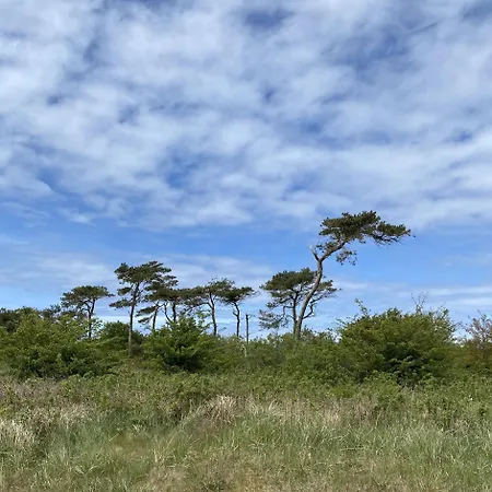 Piratennest Ruegen